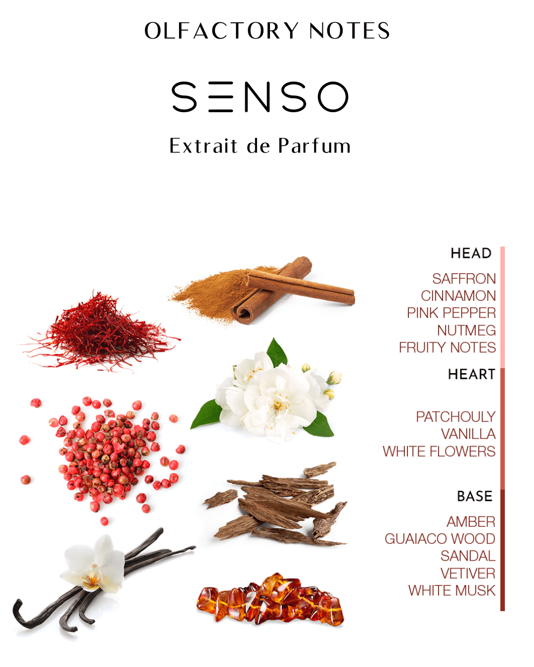 SENSO - الصورة 2