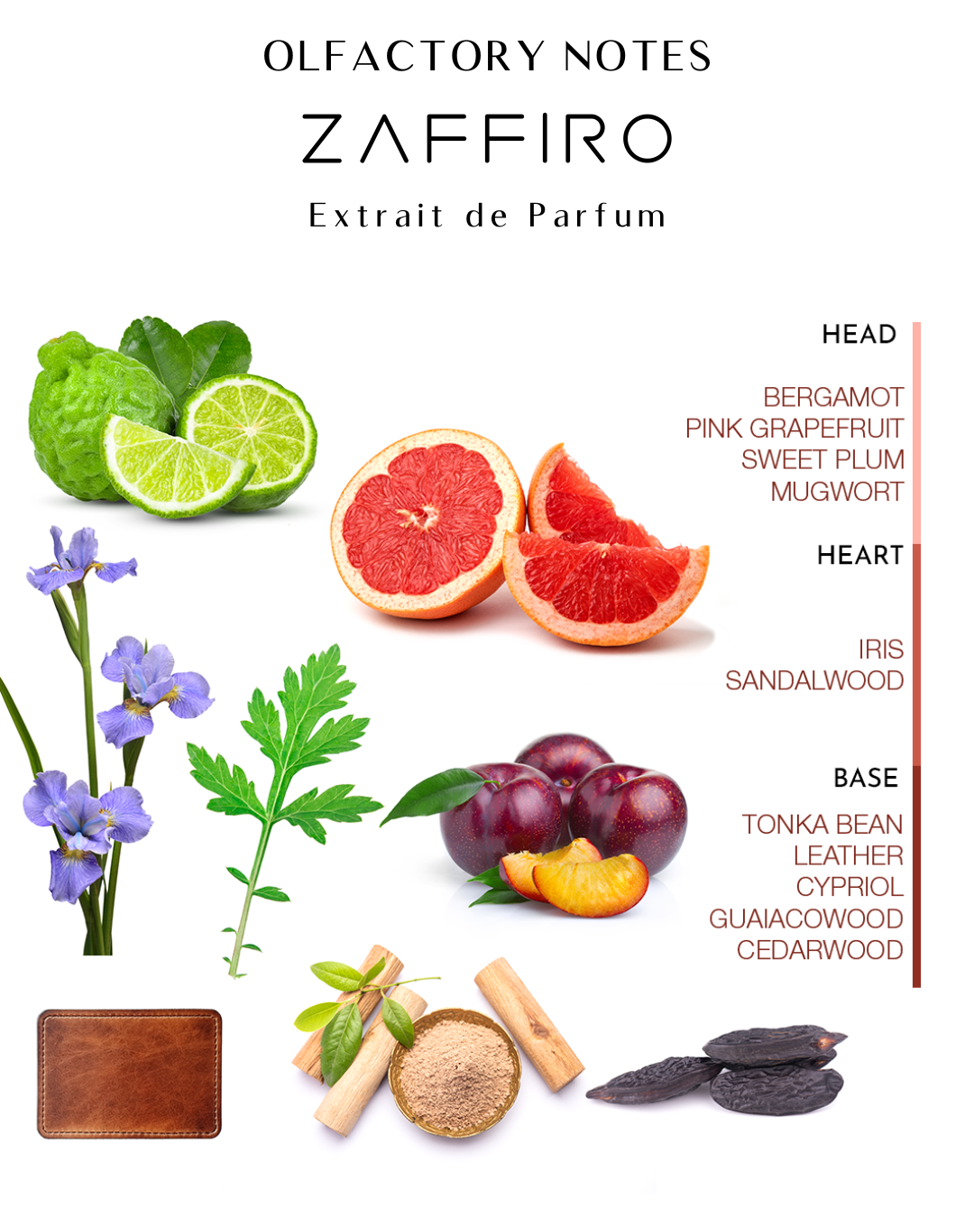 ZAFFIRO - الصورة 2